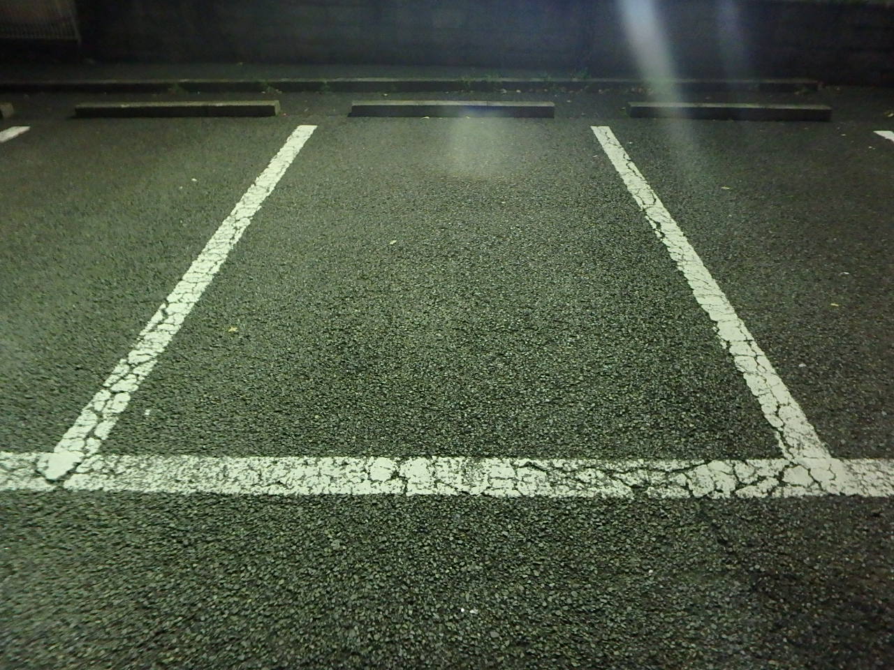 ラインを引く場所の状況を確認